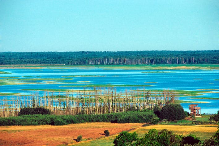 Hornborgasjön — fågelskådning