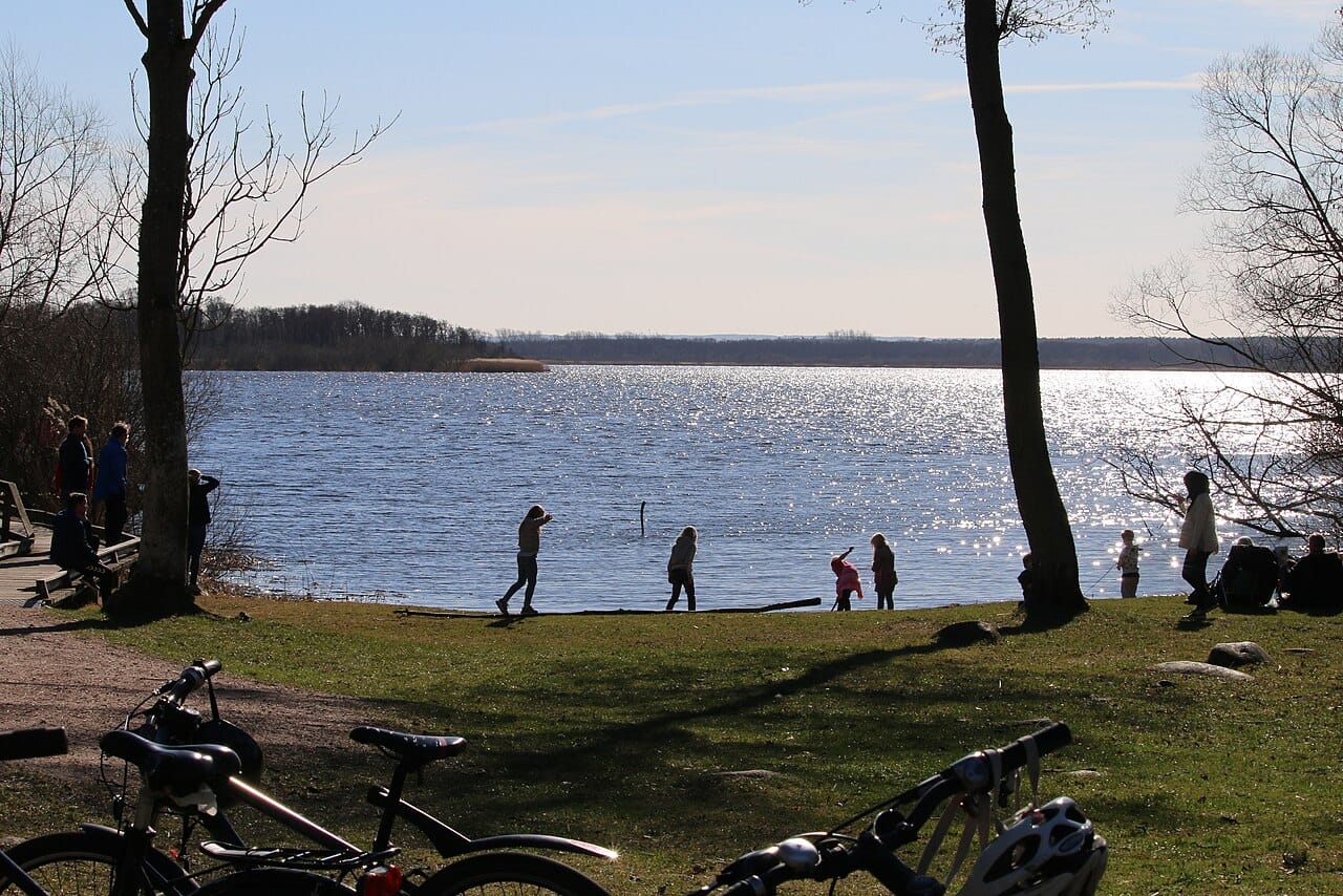 Hammarsjön — fågelskådning
