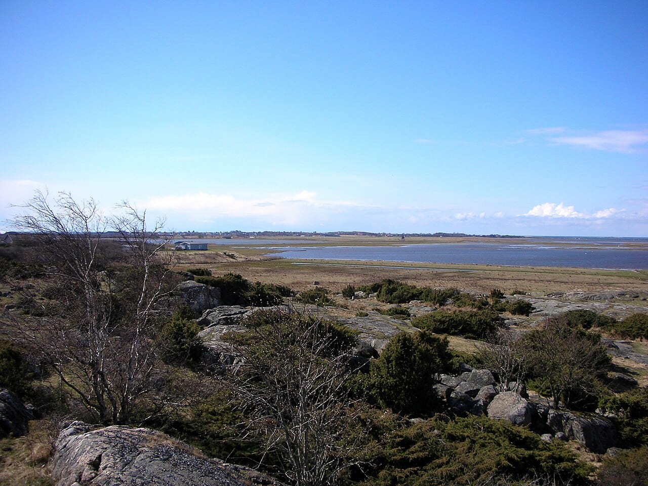 Getterön — fågelskådning